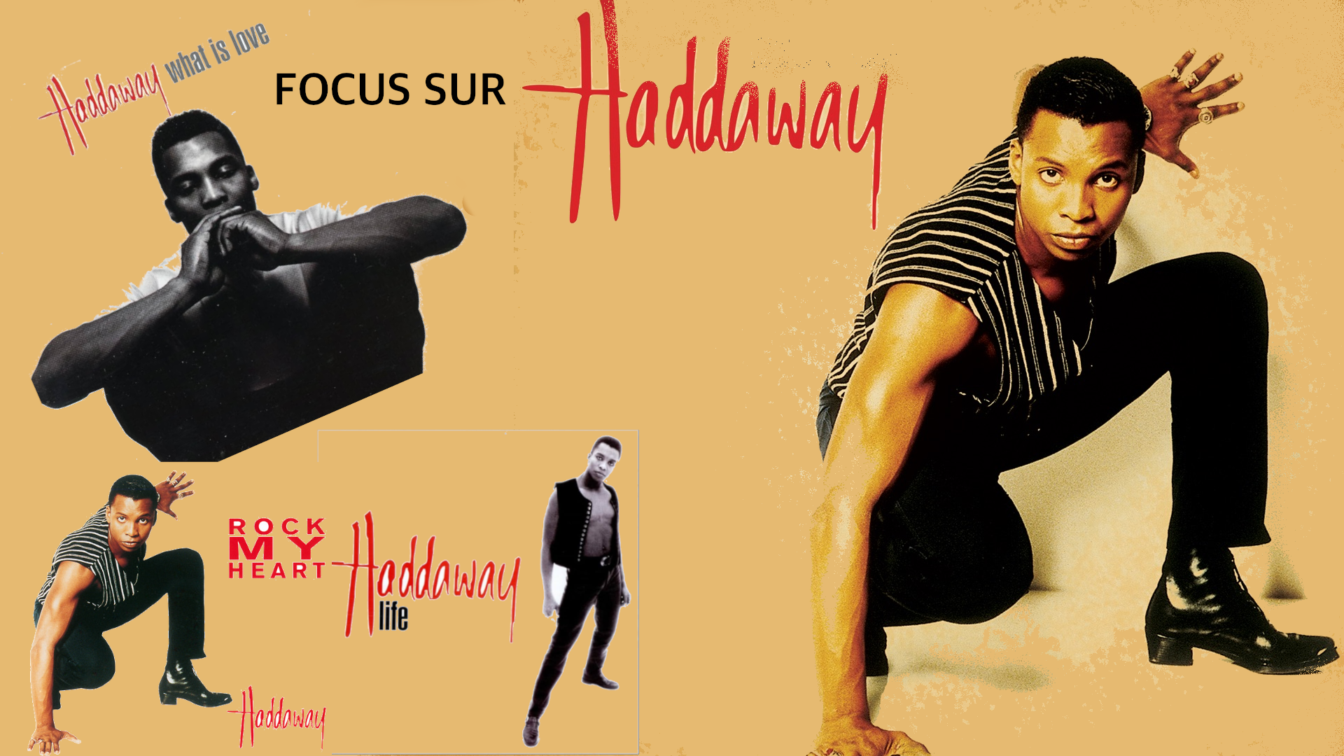 Focus sur Haddaway